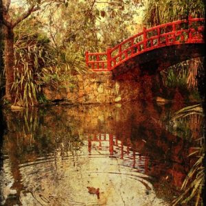 Travel- Kawasaki Bridge Wollongong Botanic Gardens